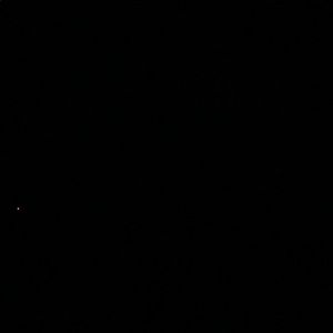 Meet your Posher, Tonya